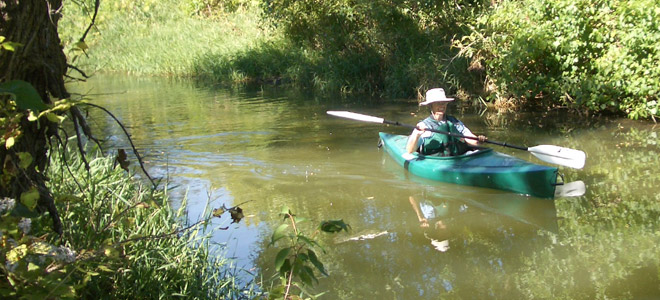 Kayaker paddling in creek