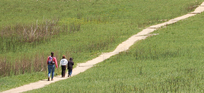 Group walking on trail path through an open meadow