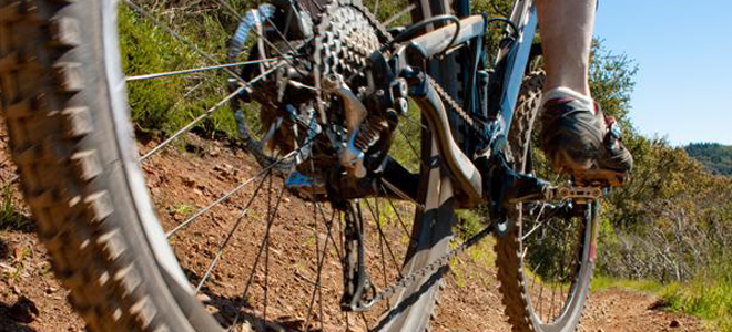 Mountain bike on trail