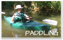 Paddling
