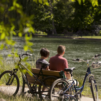 Comfort Bicycles