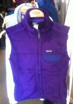 Patagonia Vest