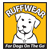 ruffwear